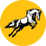 TEMBO logo